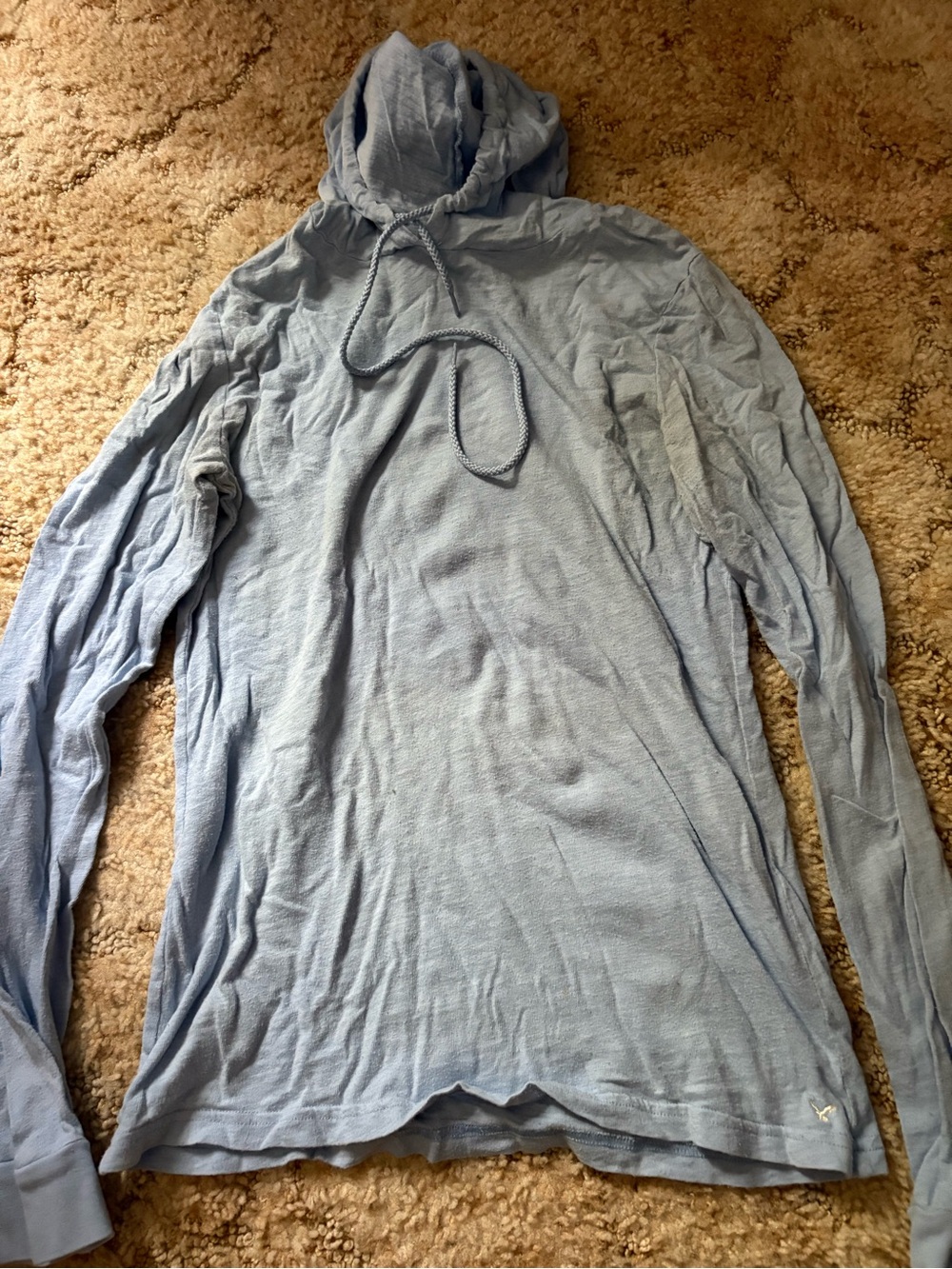 Light Blue Hooded Long-Sleeve Shirt